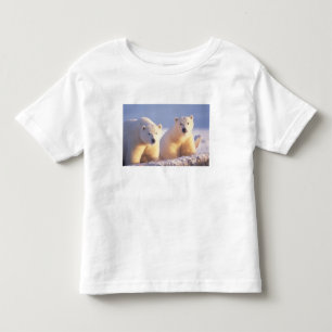 Camiseta Infantil Ursoaica com filhote no gelo marinho