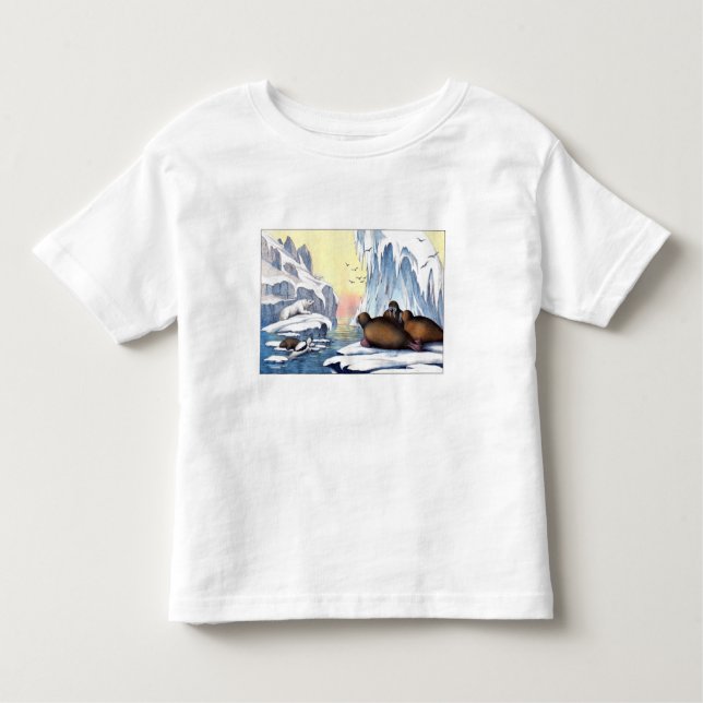 Camiseta Infantil Ursos Polares, Morsa E Selos (Frente)