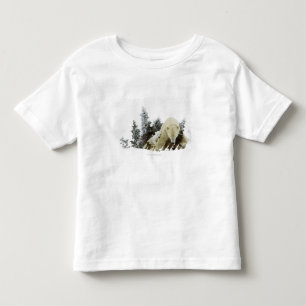 Camiseta Infantil Ursos polares no parque nacional de Wapusk