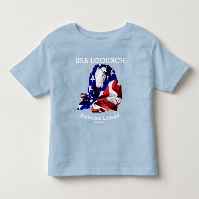 Camiseta Infantil USA LOOUNCH, Toddler Tee (Frente)