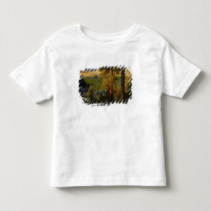 Camiseta Infantil UTAH. Pinheiros ponderosa & álamo, outono. Nascer