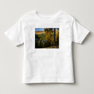 Camiseta Infantil UTAH. Pinheiros ponderosa e álamo, outono. Nascer