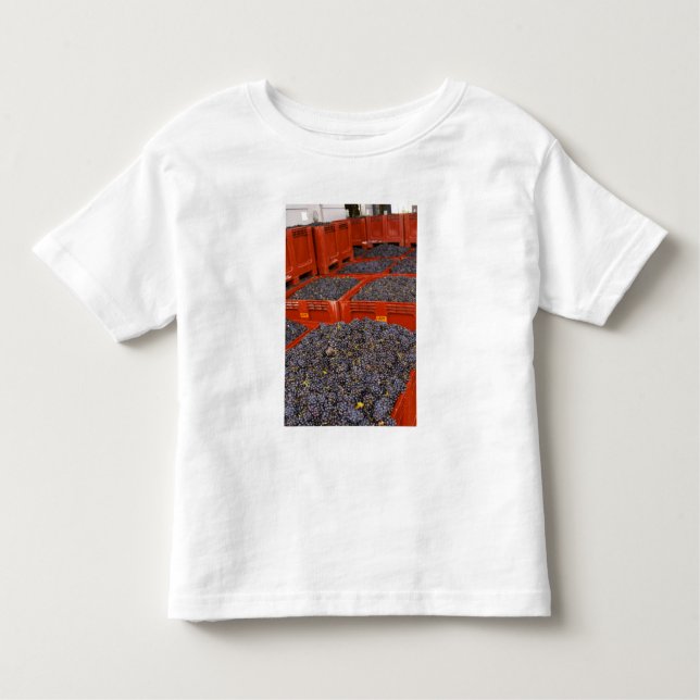 Camiseta Infantil Uva de gamay só na colheita (Frente)