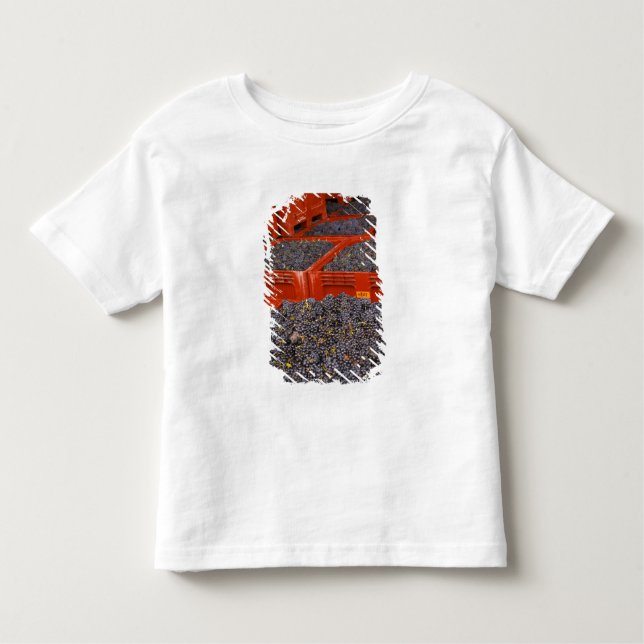 Camiseta Infantil Uva de gamay só na colheita (Frente)