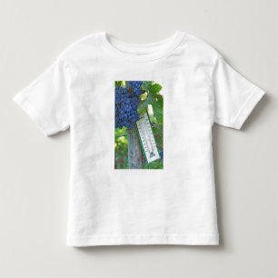 Camiseta Infantil Uvas Merlot no Chateau la Grave Figeac, um