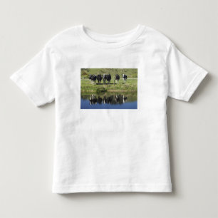 Camiseta Infantil Vacas refletidas no canal, Henley, Taieri Plain,
