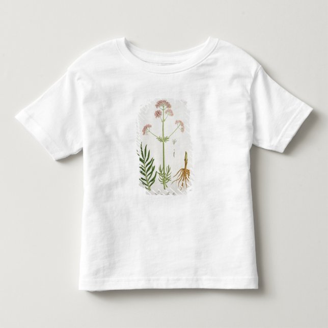 Camiseta Infantil Valerian de "Phytographie Medicale" pelo Ro de (Frente)