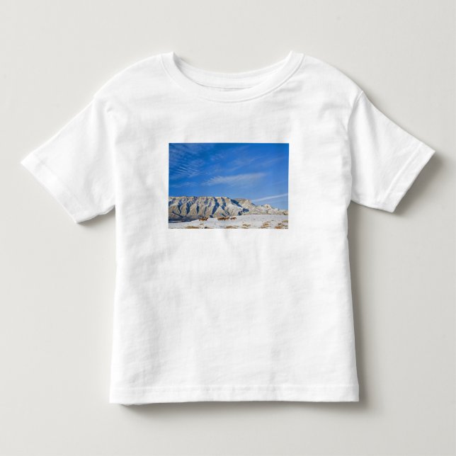 Camiseta Infantil Vaqueiros com Rebanho de Cavalos (Frente)
