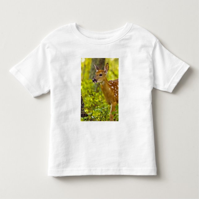 Camiseta Infantil Veado-branco de Whitefish, Montana, EUA (Frente)