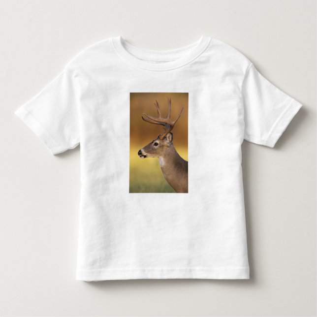Camiseta Infantil Veado branco, Odocoileus virginianus, (Frente)