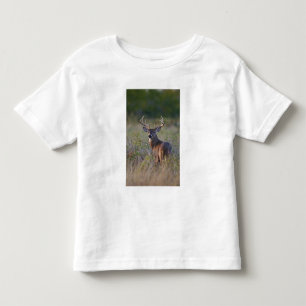 Camiseta Infantil veado-de-cauda-branca Odocoileus virginianus