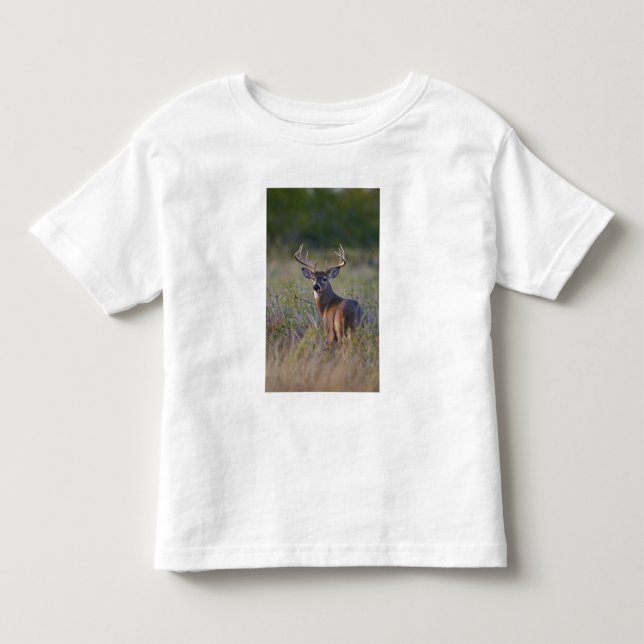 Camiseta Infantil veado-de-cauda-branca Odocoileus virginianus (Frente)