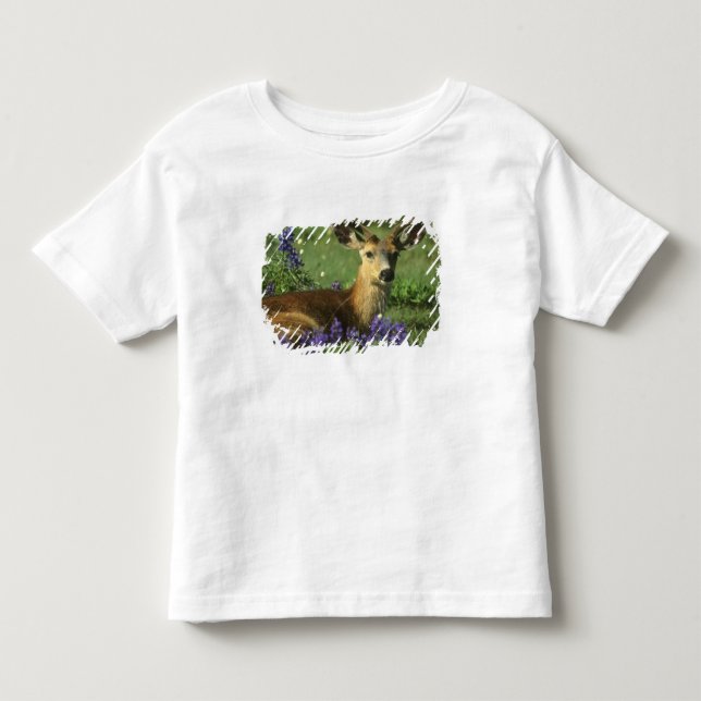 Camiseta Infantil Veado-de-cauda-preta, Odocoileus hemionus (Frente)
