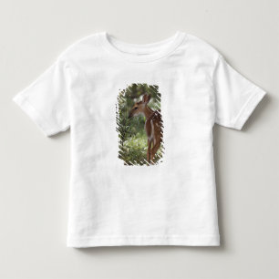 Camiseta Infantil Veado-mateiro, Odocoileus virginianus