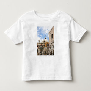 Camiseta Infantil Veneza, Veneto, Itália - As aves estão empoleirada