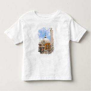 Camiseta Infantil Veneza, Veneto, Itália - As aves estão empoleirada