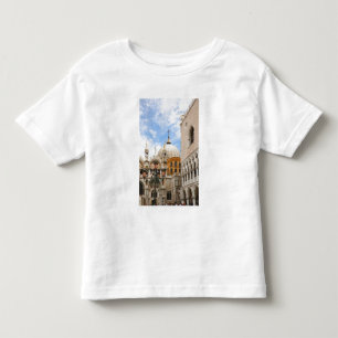 Camiseta Infantil Veneza, Veneto, Itália - Pássaros estão empoleirad