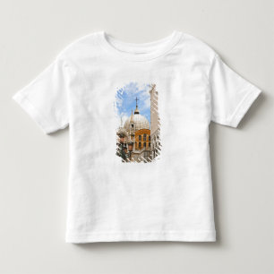 Camiseta Infantil Veneza, Veneto, Itália - Pássaros pousados em um