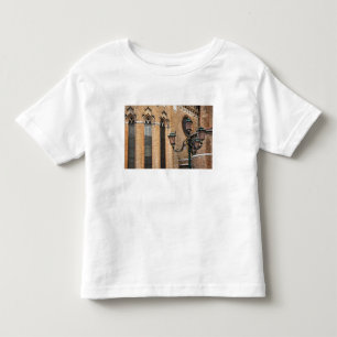Camiseta Infantil Veneza, Veneto, Itália - Um poste de iluminação es