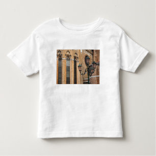 Camiseta Infantil Veneza, Veneto, Itália - Um posto de lâmpadas está