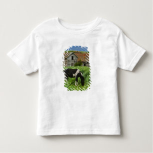 Camiseta Infantil Ver cavalos num campo na Palha 2