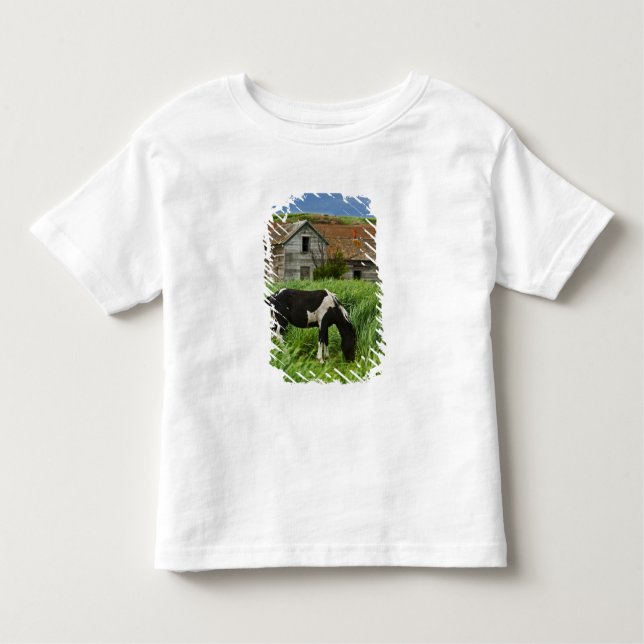Camiseta Infantil Ver cavalos num campo na Palha 2 (Frente)
