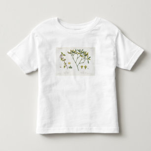 Camiseta Infantil Vidoeiro (deixado) e visco (direito), Fig. 9 e 10