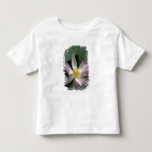 Camiseta Infantil Vietnã, perto de Saigon) Meu Tho. Vinh Trang