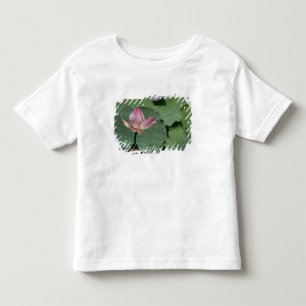 Camiseta Infantil Vietnã, perto de Saigon) Meu Tho. Vinh Trang 2