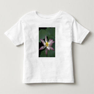 Camiseta Infantil Vietnã, perto de Saigon) My Tho. Vinh Trang