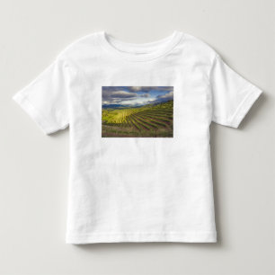 Camiseta Infantil Vineyard. Vale Napa. Napa. Condado de Napa,