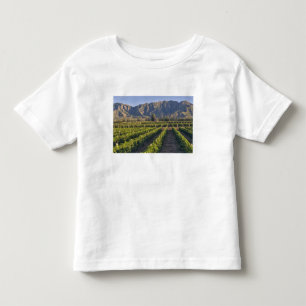 Camiseta Infantil Vinhas de Cabernet Sauvignon em Huailai Rongchen