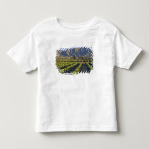 Camiseta Infantil Vinhas de Cabernet Sauvignon em Huailai Rongchen