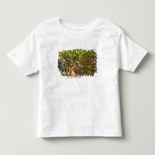 Camiseta Infantil Vinhas de Cabernet Sauvignon em uma fileira na