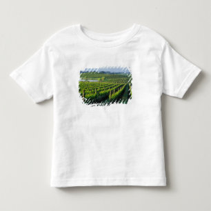 Camiseta Infantil Vinhas em fileiras organizadas na Napa, Califórnia