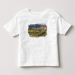 Camiseta Infantil Vinhedo dormente, flores de frutas, casa de pedra,