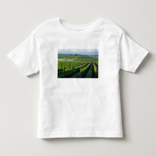Camiseta Infantil Vinhos em filas negras no Napa da Califórnia