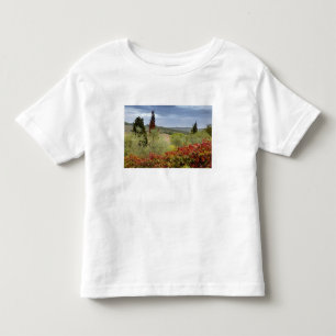Camiseta Infantil Vinícola perto de Montalcino, Toscana, Itália