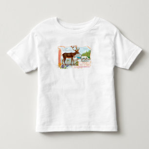Camiseta Infantil Vintage Cariou (Reindeer) e Raposa Árctica