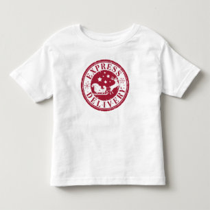 Camiseta Infantil Vintage Express Delivery from Santa Claus