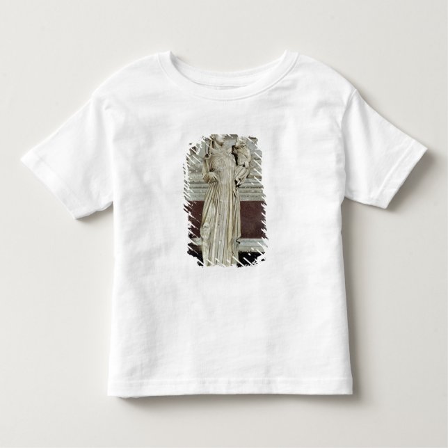 Camiseta Infantil Virgin e criança (Frente)