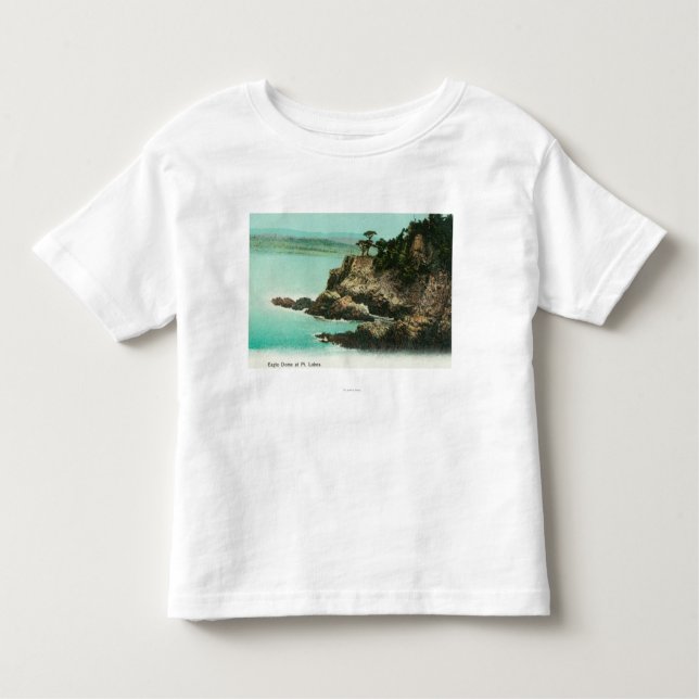 Camiseta Infantil Vista aérea da abóbada de Eagle no ponto Lobos (Frente)