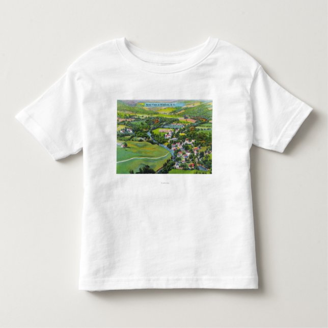 Camiseta Infantil Vista aérea da cidade (Frente)