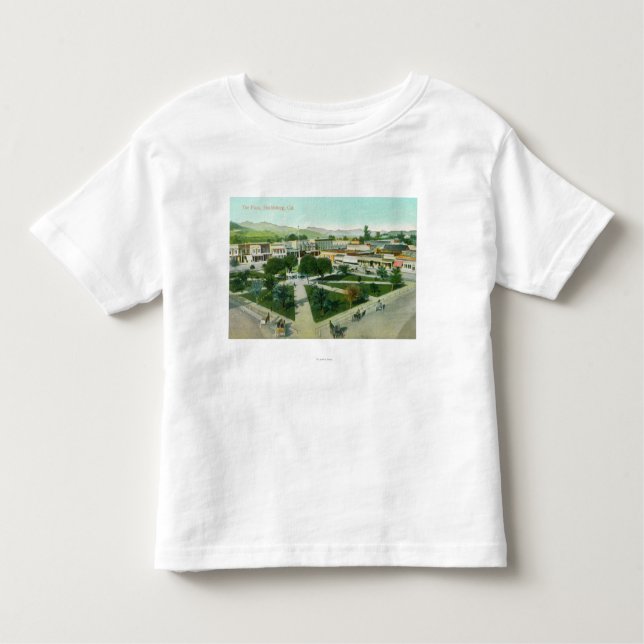 Camiseta Infantil Vista aérea da cidade PlazaHealdsburg, CA (Frente)
