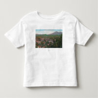 Vista aérea do CitySan Rafael, CA