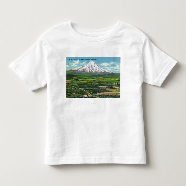 Camiseta Infantil Vista aérea do vale e da montanha de Hood River (Frente)