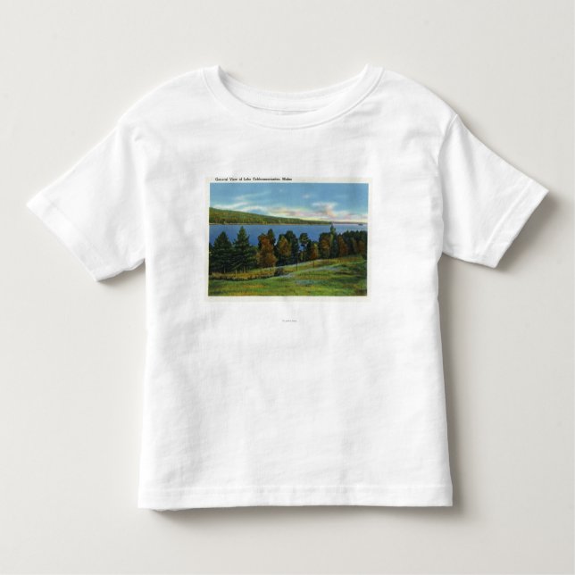 Camiseta Infantil Vista cénico do lago Cobbosseecontee (Frente)