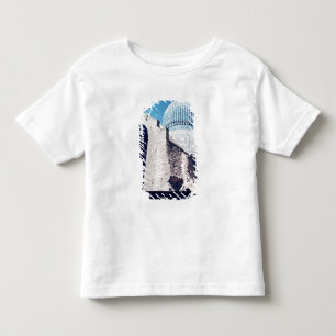Camiseta Infantil Vista da abóbada, período de Timurid, c.1403