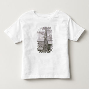 Camiseta Infantil Vista da catedral do St. Stephan