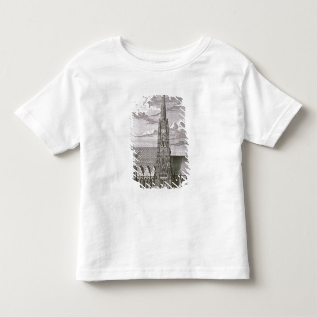 Camiseta Infantil Vista da catedral do St. Stephan (Frente)